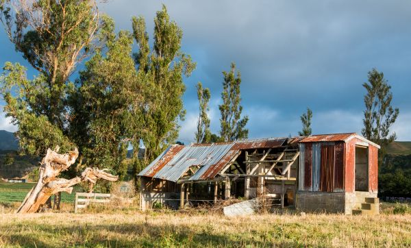 Shed Teardown